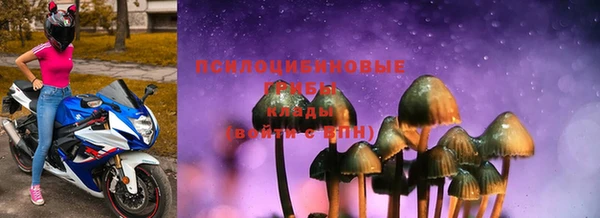 стаф Ельня