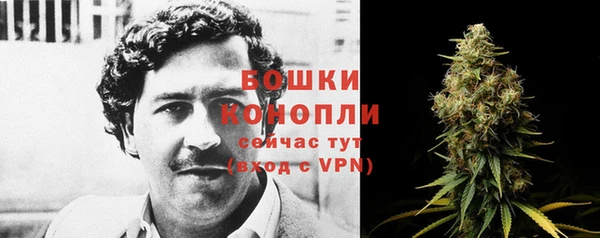 PSILOCYBIN Дмитров
