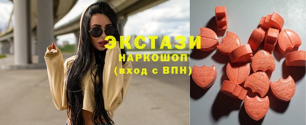 стаф Ельня