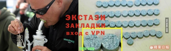 стаф Ельня