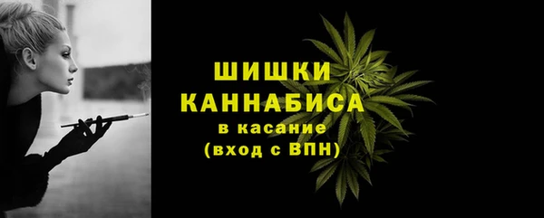 эйфоретик Фурманов