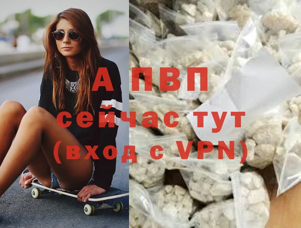 стаф Ельня
