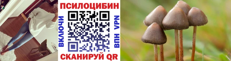 Галлюциногенные грибы мицелий  Протвино 