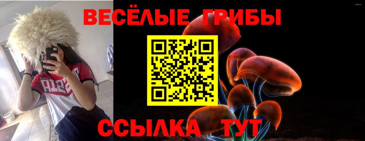 Псилоцибиновые грибы ЛСД Протвино